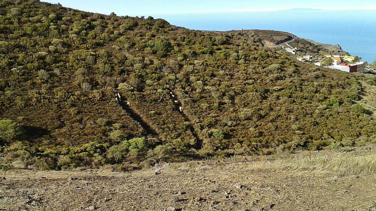 Inicio de los trabajos de refuerzo contra incendios en núcleos poblacionales de las medianías de La Gomera en 2020.