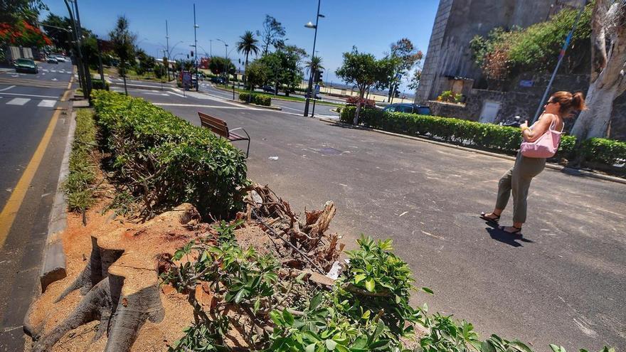 Santa Cruz de Tenerife planea crear un carril bici en el paseo peatonal de la Rambla