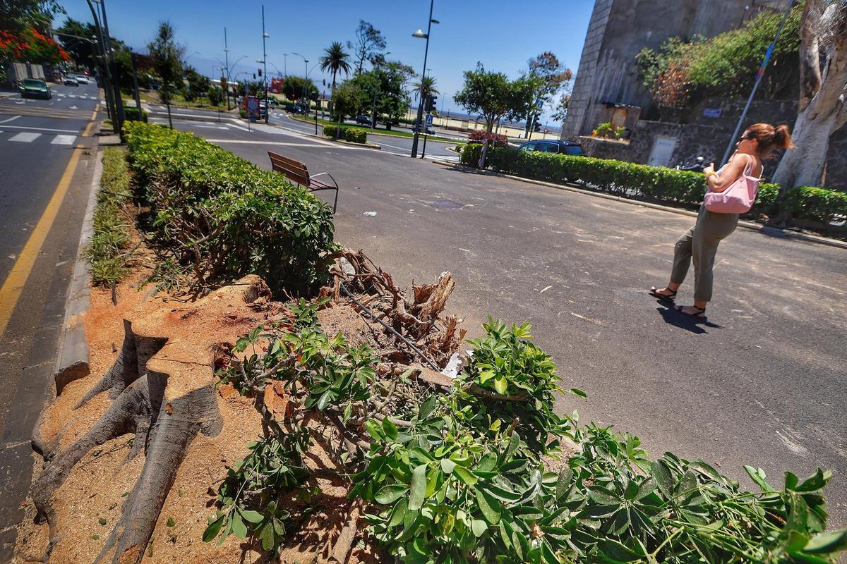 Tramo final de la Rambla de Santa Cruz.