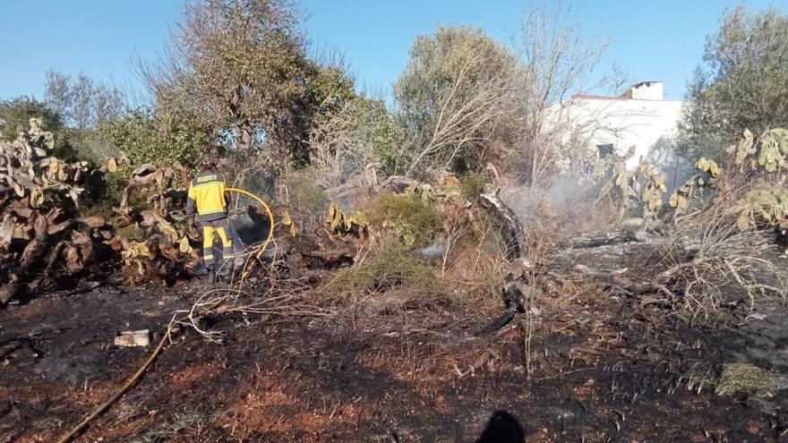 Incendio agrícola junto a la carretera de Sant Llorenç