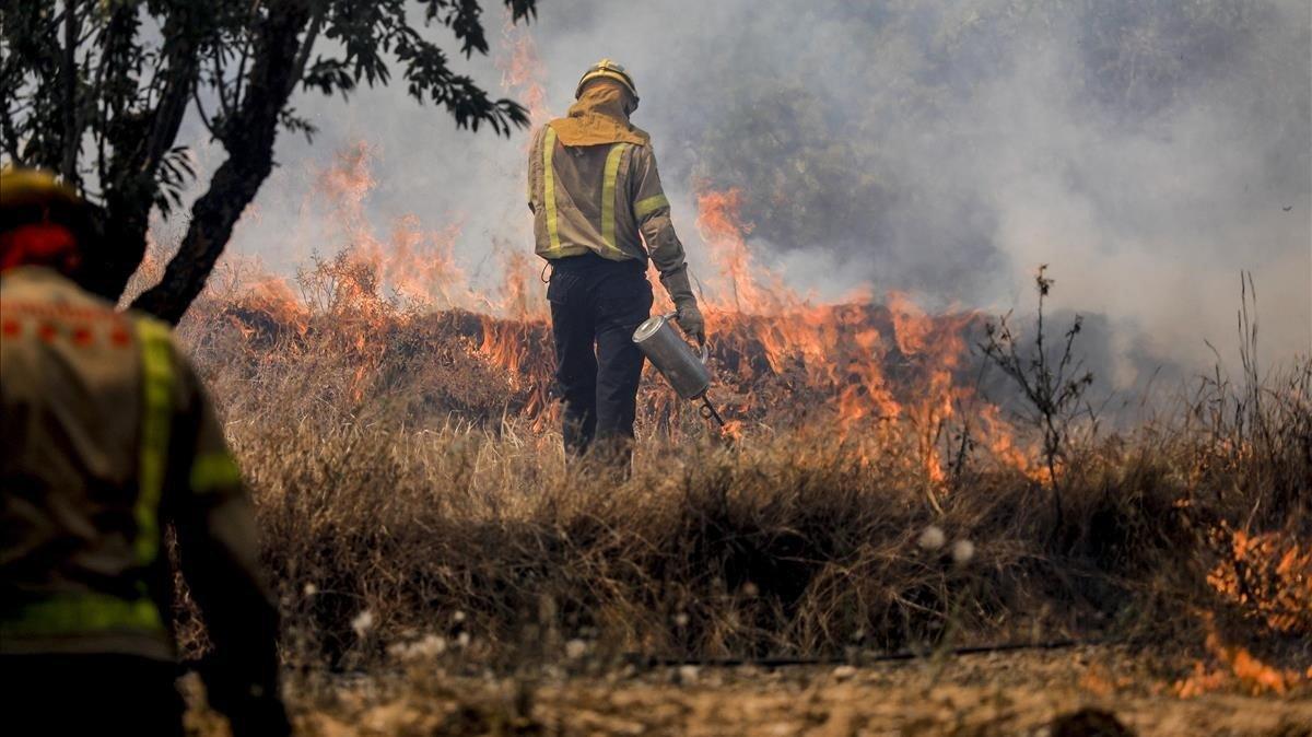 Un bombero trabajando en el incendio de la Ribera d’Ebre.