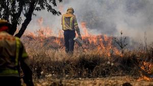 zentauroepp48819047 incendio ribera ebre190627162519