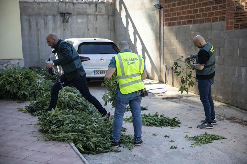 Operació antidroga de la Guàrdia Civil amb epicentre a Vidreres