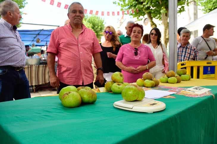 Fiesta de la manzana de Valleseco