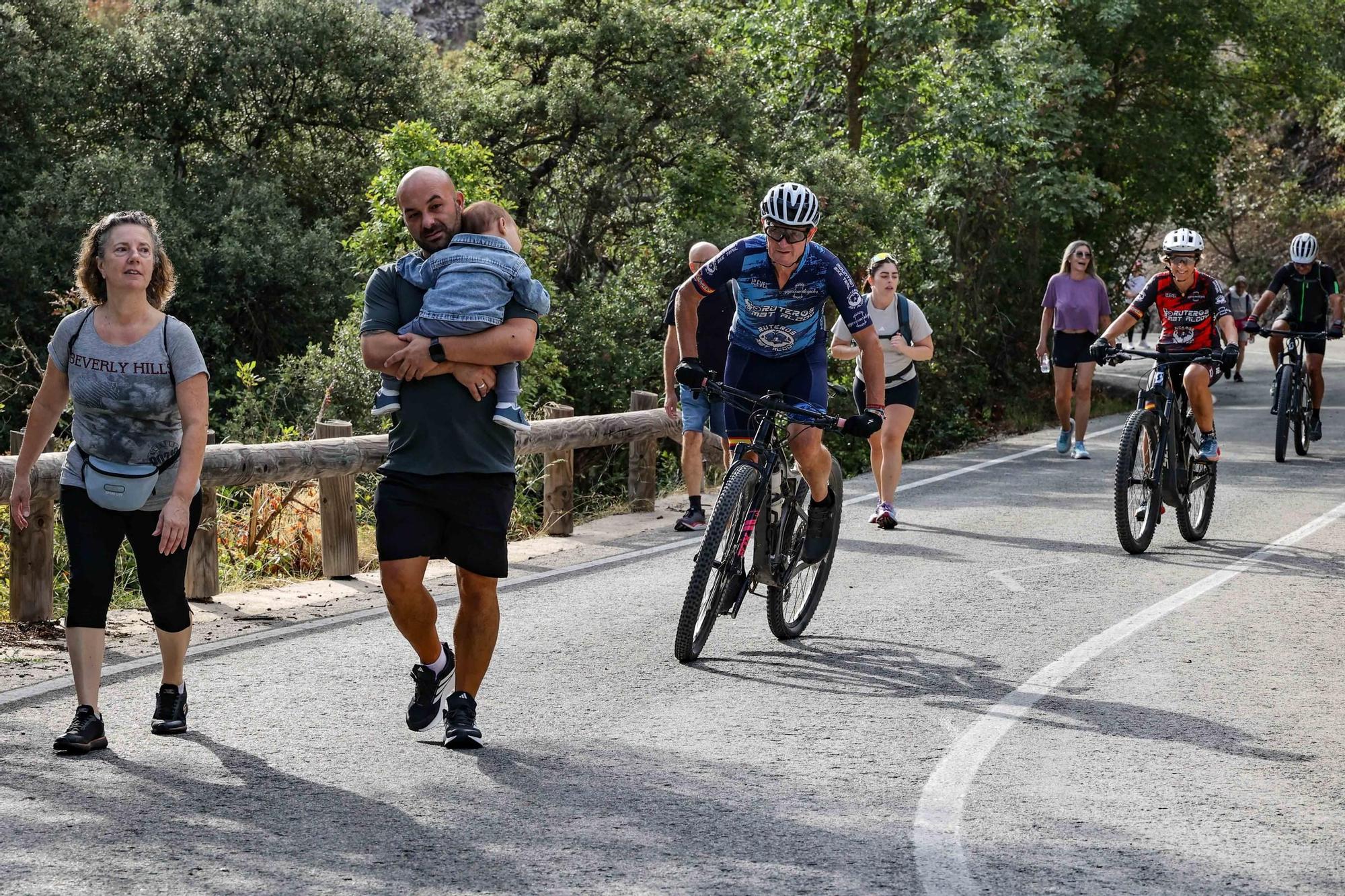 Romería a la Ront Roja