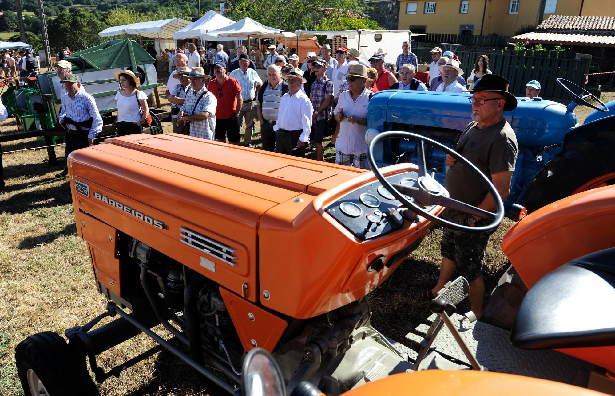 A Festa da Malla