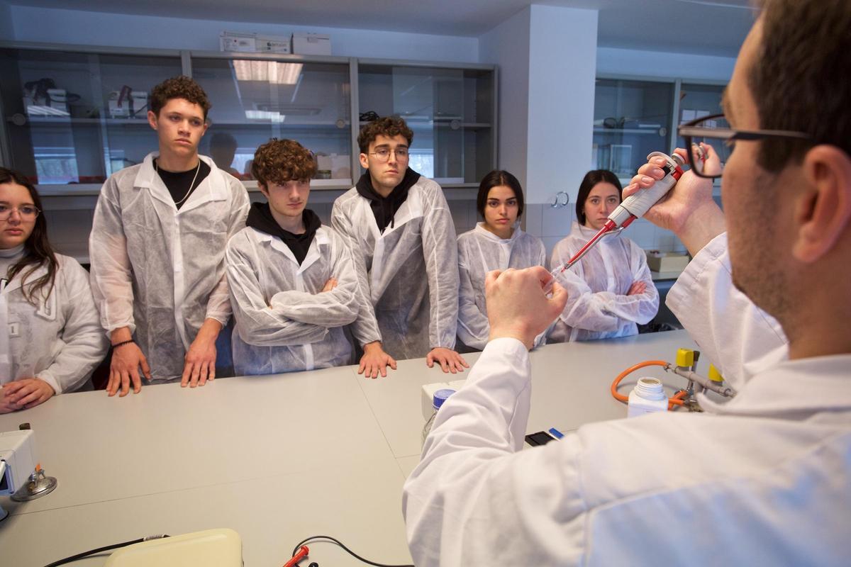 Científicos por un día en la Universidad de Alicante