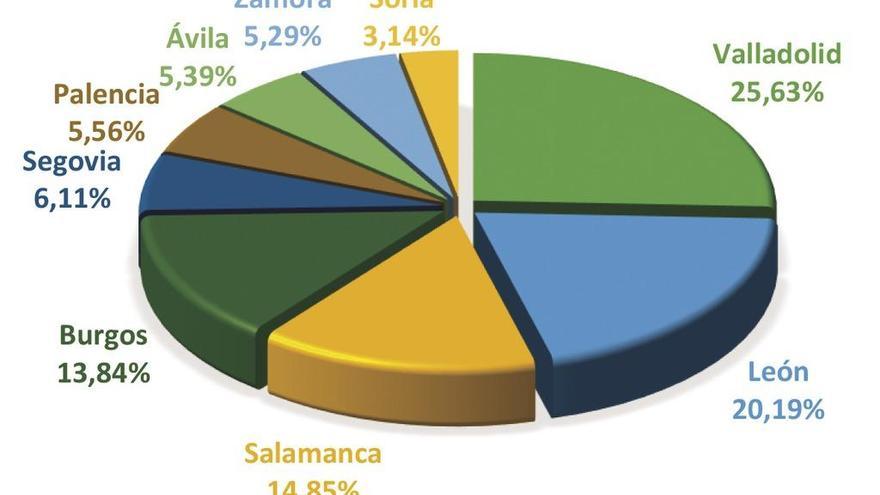 Distribución por provincias de los dominios .es registrados en Castilla y León