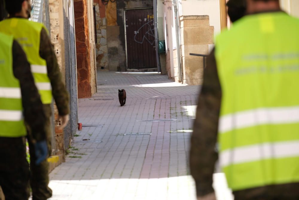 Elda y Petrer reciben a los boinas verdes en la Operación Balmis contra el Covid-19