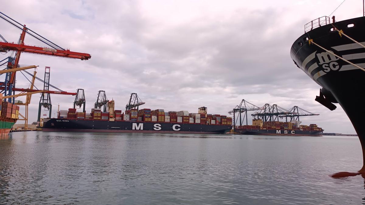 Un buque portacontenedores de la naviera MSC atracado en Valenciaport.