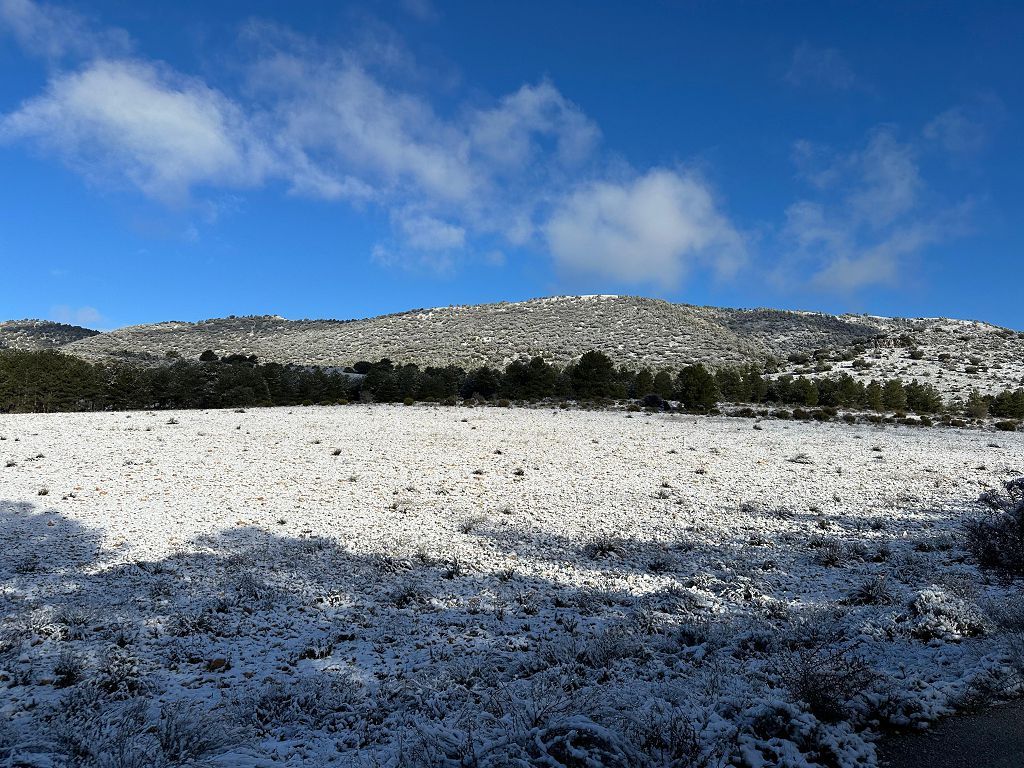 La nieve cumbra el techo de la Región en Cañada de la Cruz, Moratalla