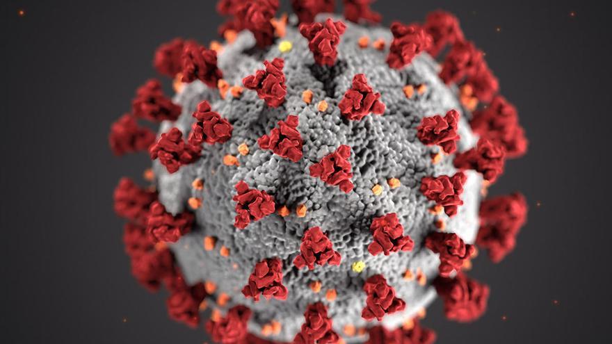 El linaje familiar del nuevo virus tiene más de 140 años de historia
