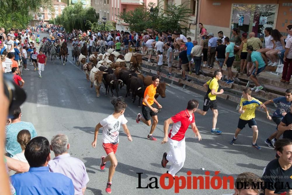 Séptimo encierro en Moratalla