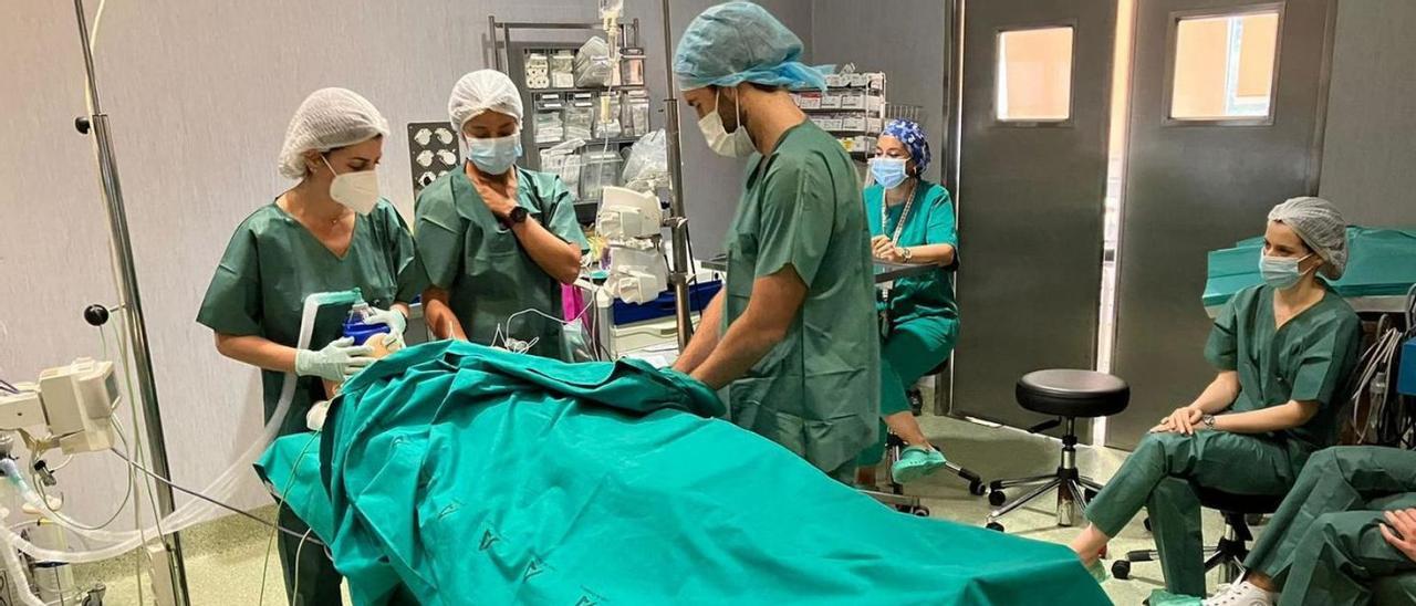 Profesionales en una de las sesiones prácticas del curso en el Hospital Clínico.