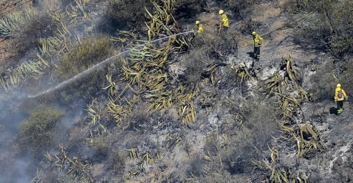 TEJEDA. Incendio en La Cumbre, efectivos en labores de extinción en Tejeda.  | 11/08/2019 | Fotógrafo: José Pérez Curbelo