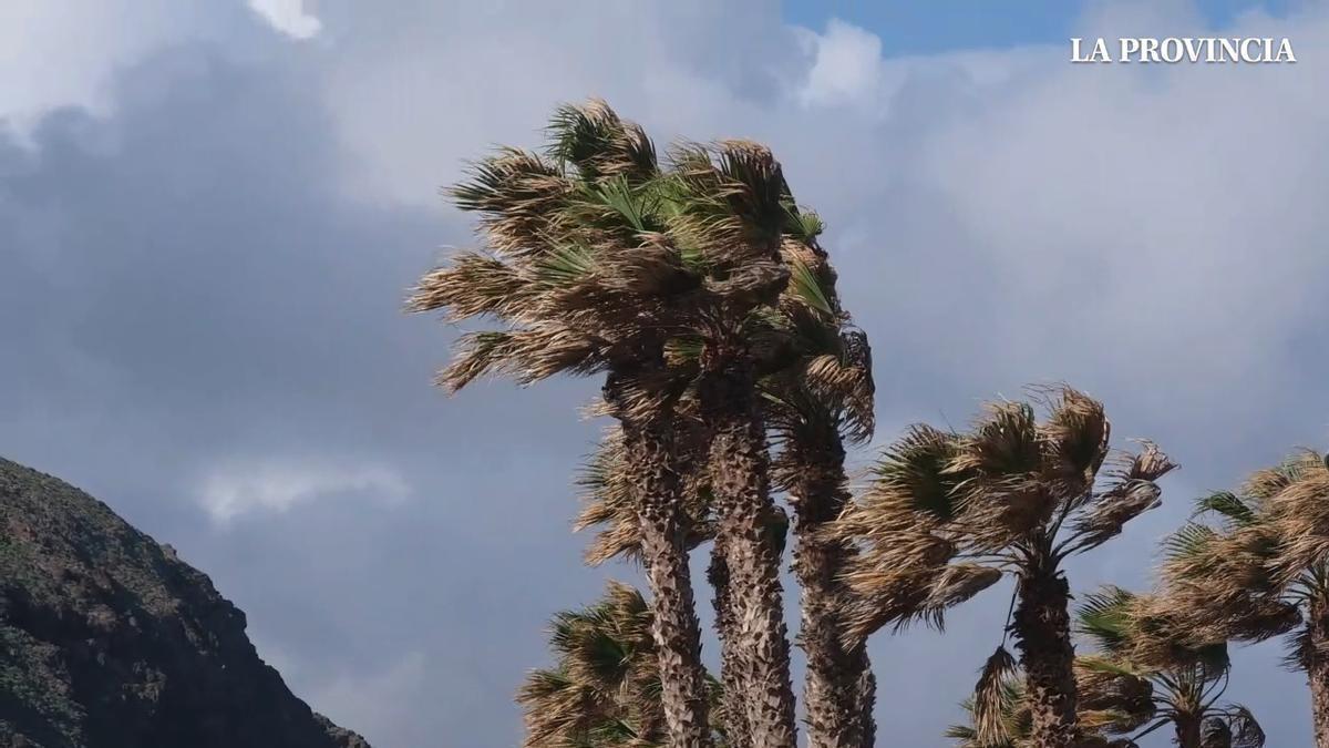 La borrasca Therese sacudirá a Canarias con vientos y lluvias fuertes: llega este día a las islas