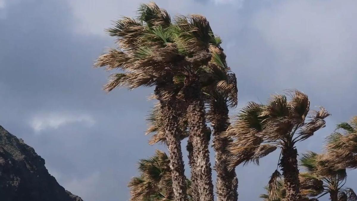 Alerta por vientos de hasta 100 km/h en Canarias desde esta medianoche