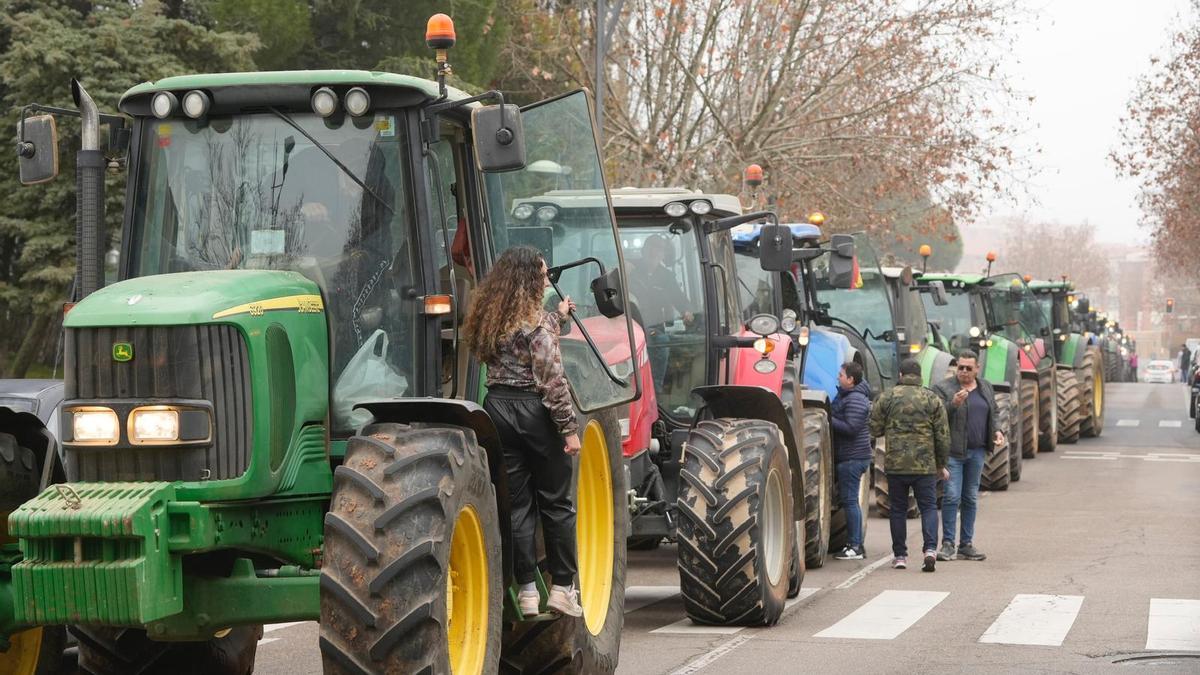 Un centenar de tractores en las calles de Zamora.
