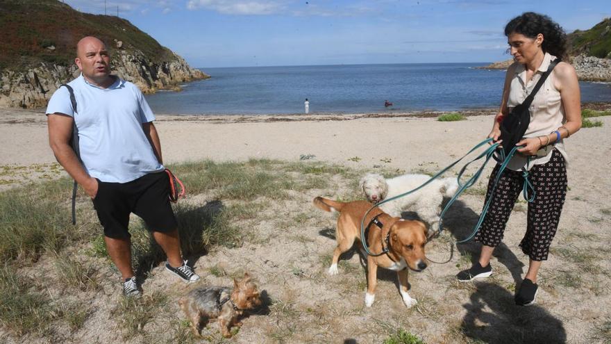 Bens, “algas y basura” para los perros en su única playa en A Coruña