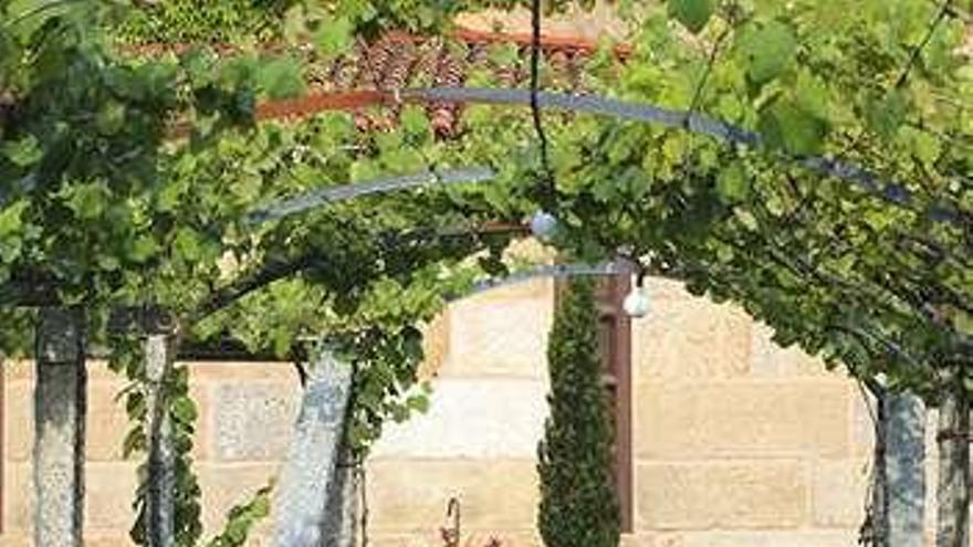 Rías Baixas y Ribeira Sacra se suman al &quot;Día del Vino con Denominación&quot;