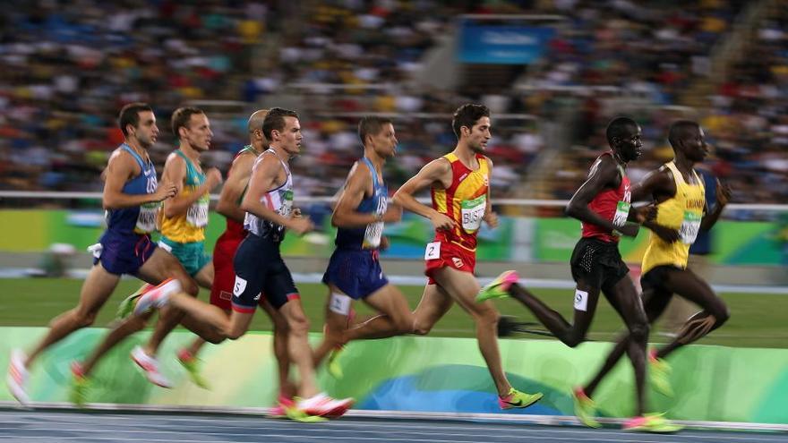 El mallorquín David Bustos, repescado para la final de 1.500