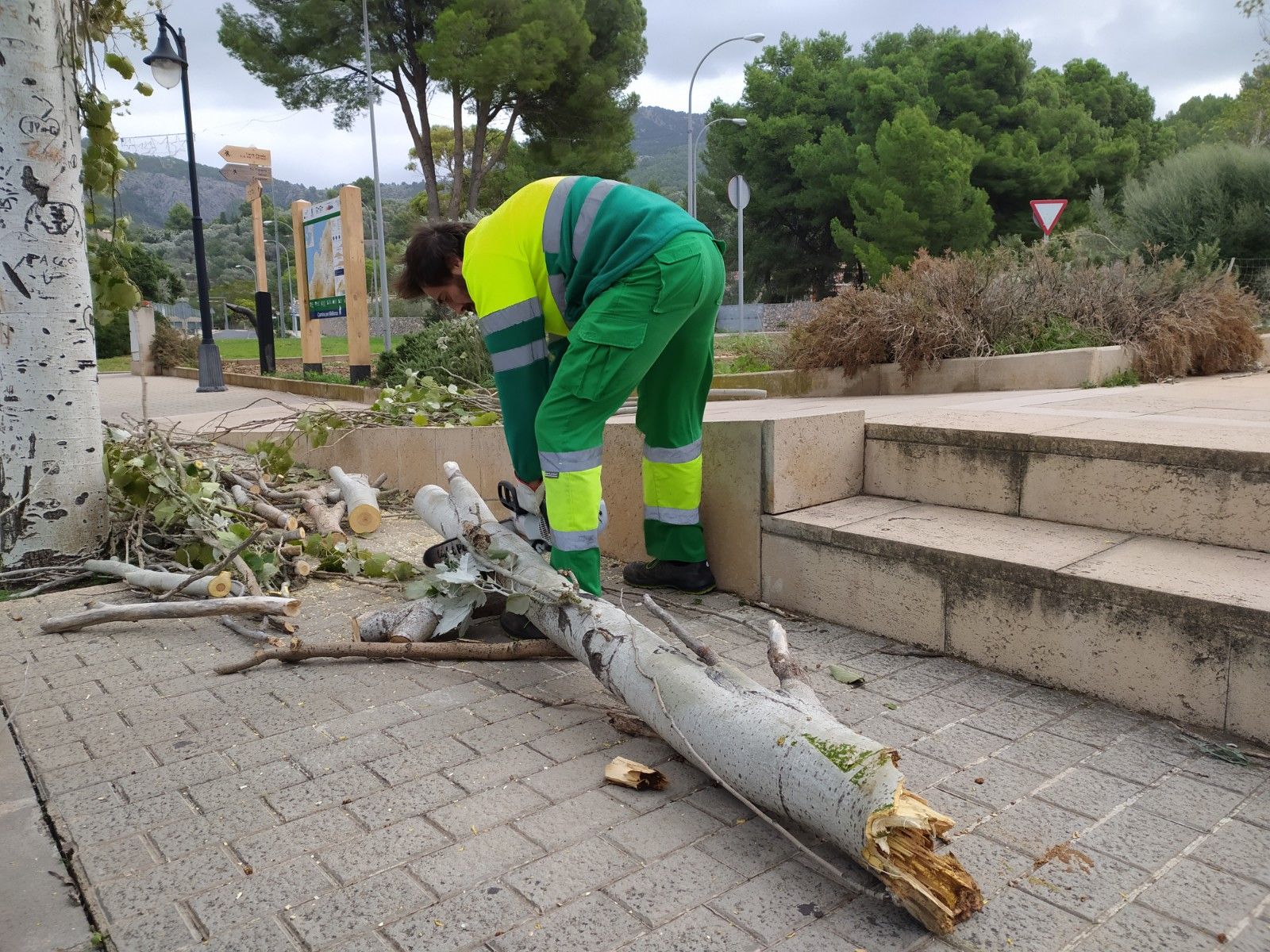 El temporal de viento provoca un centenar de incidentes en Baleares