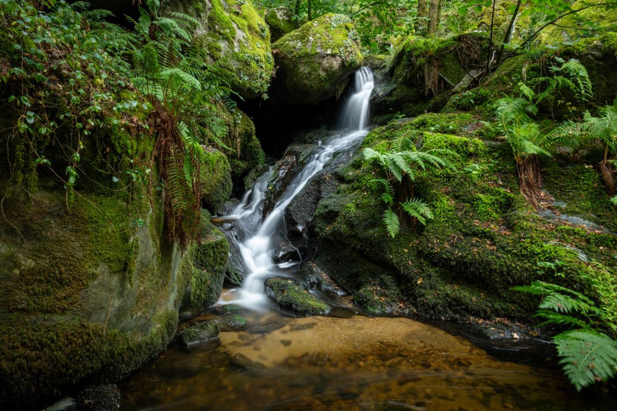 El entorno natural de Castro Caldelas (Ourense)