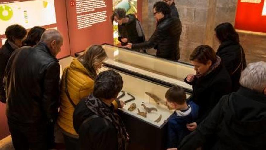 Girona mostra els «prodigis» de la Draga de Banyoles, amb més de 200 objectes originals