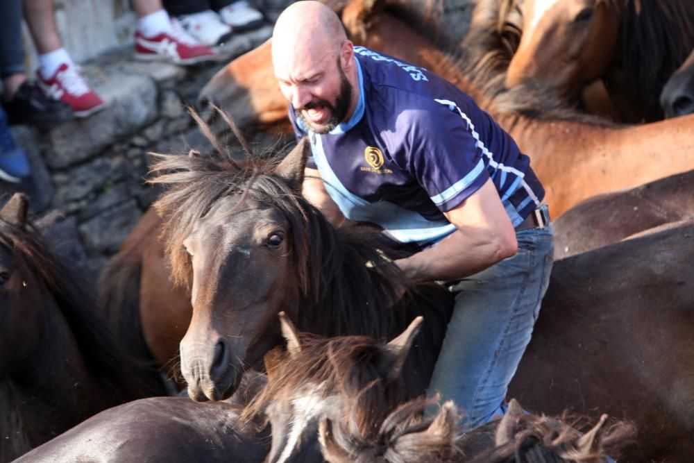 Sabucedo exhibe bravura en su Rapa das Bestas