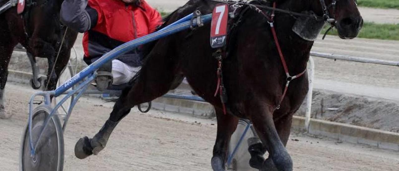 Vanvuit BG, con Antònia Vaquer, ganando en Manacor.