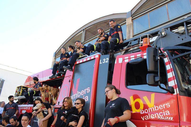 Los Bomberos de Valencia, con la adopción de mascotas