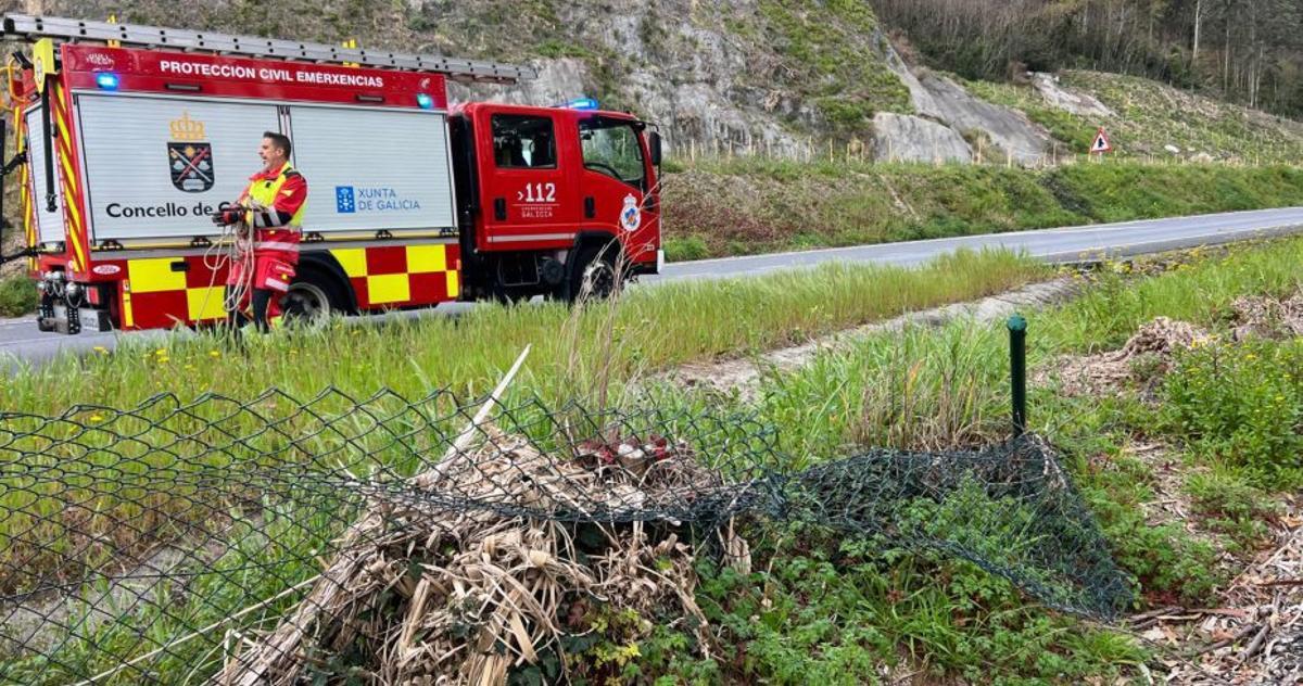 La rotura de la malla provocó la entrada de animales en la autovía en 2025.