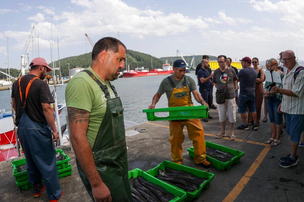 Tres marineros descargan cajas de merluza «del pincho» en el muelle de la rula de Avilés observados por turistas participantes un verano en las visitas guiadas a la lonja.