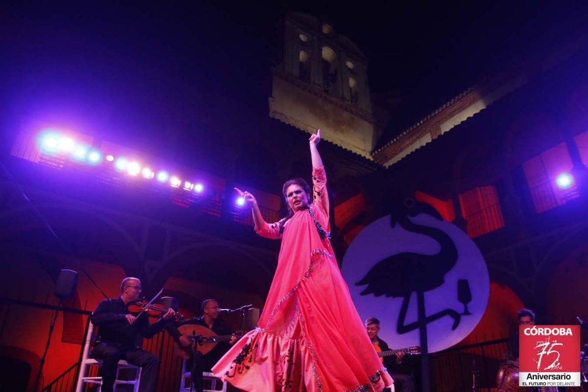 Las imágenes de la Noche Blanca del Flamenco