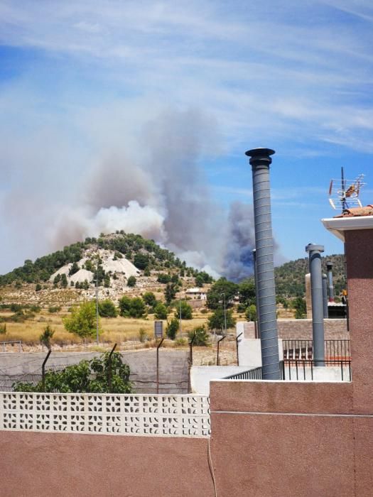 Incendio forestal en Monóvar