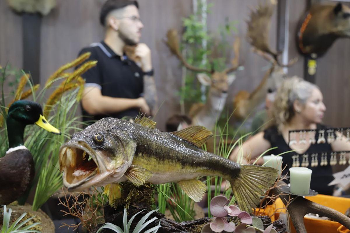 La feria Intercaza 2025, en imágenes