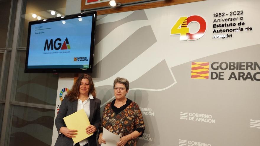 Memoria Genética de Aragón consigue 200 registros de ADN al comenzar con una tarea &quot;muy complicada&quot;