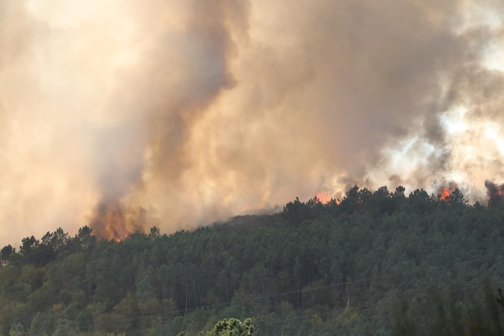 Arde la provincia de Ourense