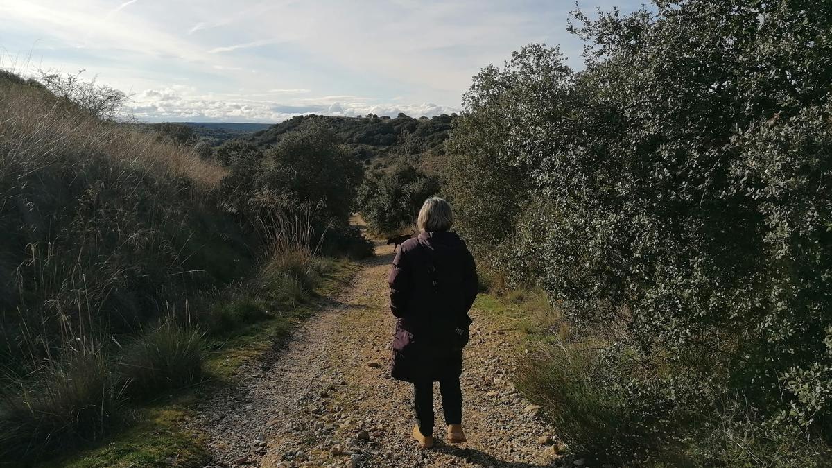Valle del arroyo del Zape de Zamora, un pareja natural en riesgo