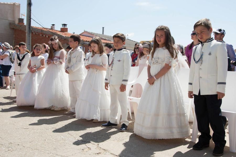 Romería de la Virgen del Viso en Bamba