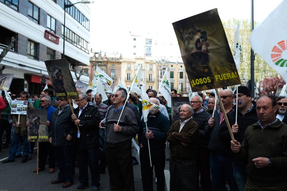 La Alianza se manifiesta en contra del lobo