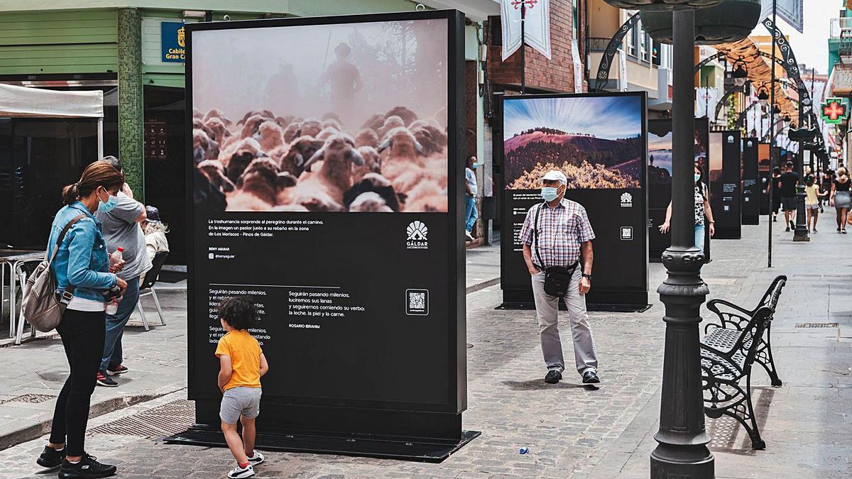 La calle capitán Quesada de Gáldar ya cuenta con una exposición y decoraciones con motivo del Camino de Santiago. | | LP/DLP