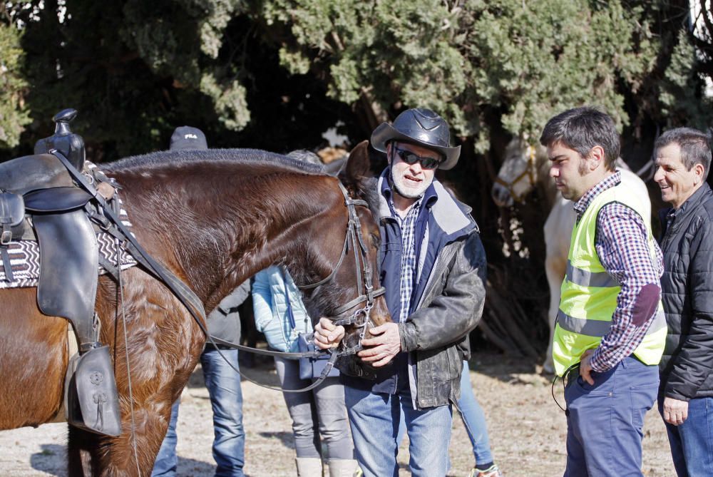 Festa de Sant Antoni Abat a Torroella de Montgrí