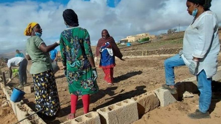 Mujeres mauritanas aprenden en Fuerteventura a sacarle partido a un huerto