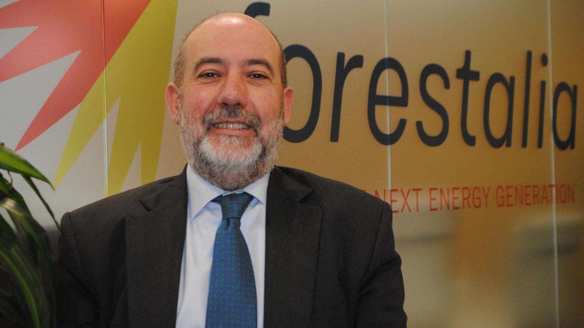 El director general de Forestalia, Carlos Reyero, un economista de 61 años que se incorporó a la empresa en el 2027 como director financiero.