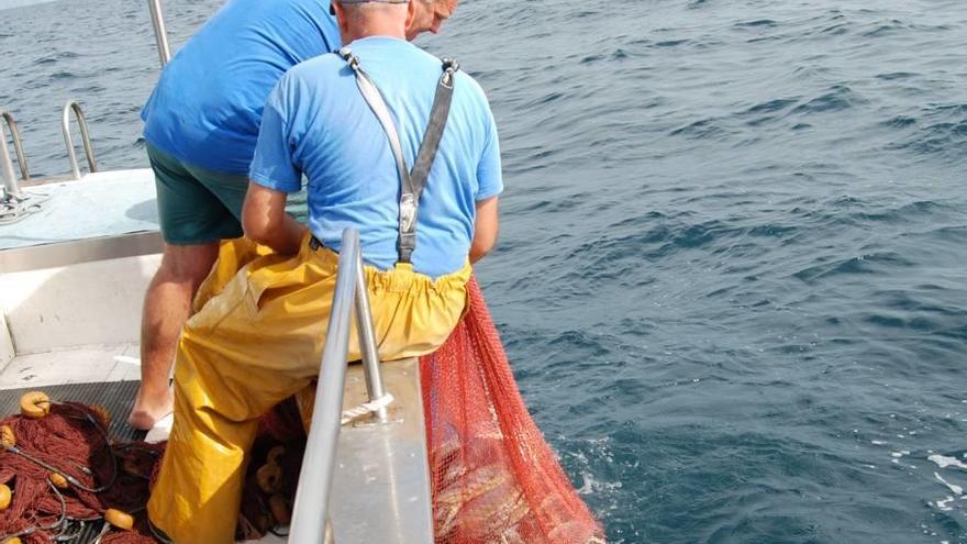 Dos pescadores izan una red por el costado de un barco repleta de llampuga.