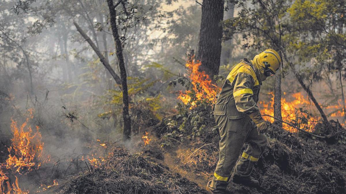 Un bomber lluitant contra les flames a O Irixo, a Ourense | BRAIS LORENZO