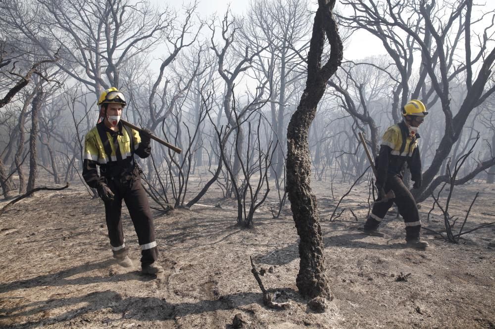 Incendi forestal a Blanes