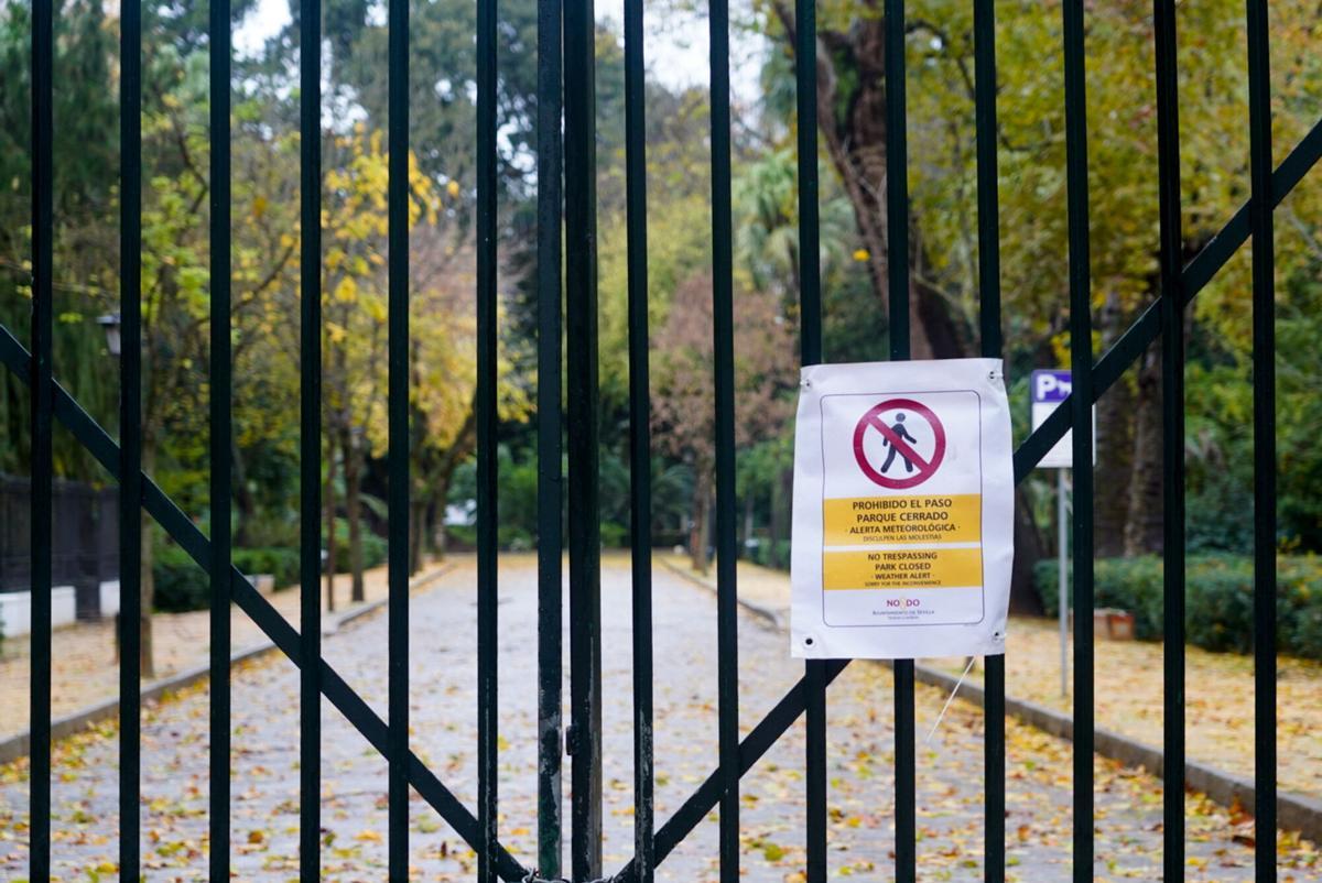 Turistas en las rejas cerradas del Parque de María Luisa que da entrada a la Plaza de España.