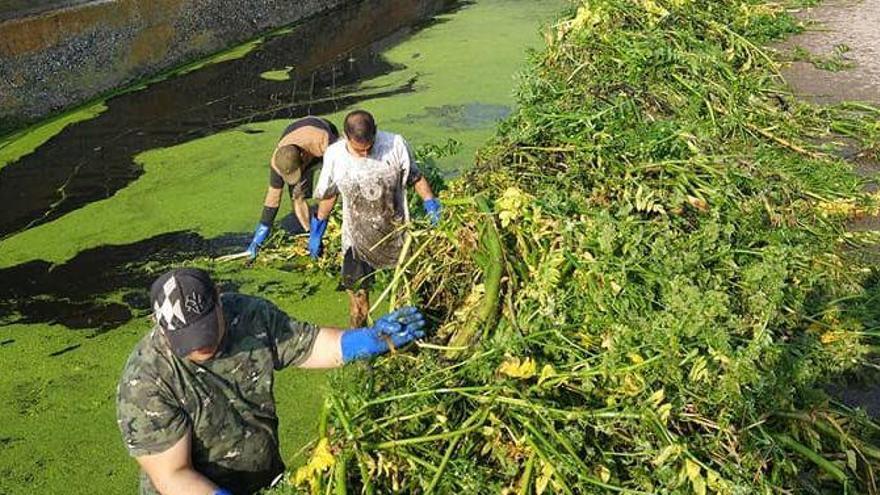 Nules previene inundaciones al adelantar la limpieza de los canales